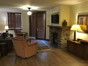 Televisión de pantalla plana, chimenea y libros 