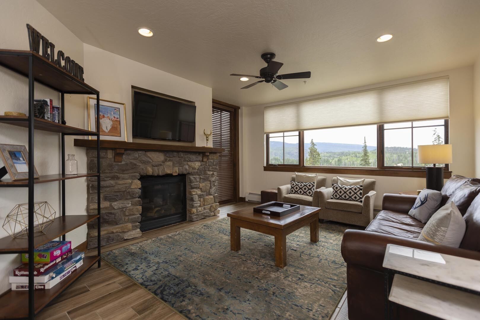 TV, fireplace, books