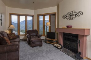 TV, fireplace, books