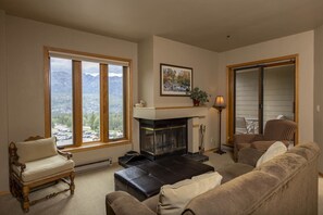 Televisión, chimenea y libros 