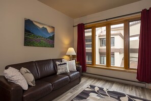 Televisión, chimenea y libros