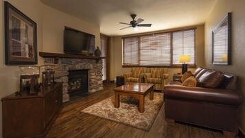 Televisión y libros