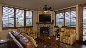 Televisión, chimenea y libros