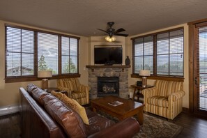 TV, fireplace, books