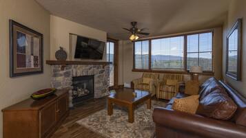 TV, fireplace, books