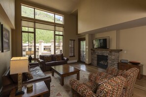 Televisión, chimenea y libros