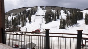 Unclassified image, 3 of 27, button - Purgatory Lodge 508 - Managed by Purgatory Resort (Durango)