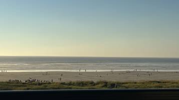 Beach nearby, sun loungers, beach towels