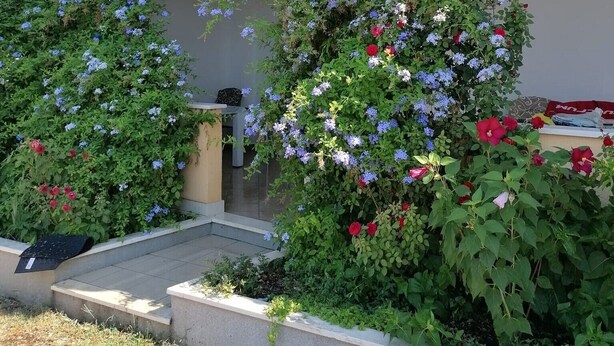 A building with a balcony, a small garden area with various plants and flowers, and a concrete pathway leading to the entrance. - Apartments Dijana - Superior Studio Apartment with Terrace (Viganj)