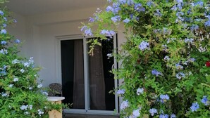A covered outdoor area with a tiled floor, a sliding glass door, and a potted plant with blue flowers. - Apartments Dijana - Superior Studio Apartment with Terrace (Viganj)