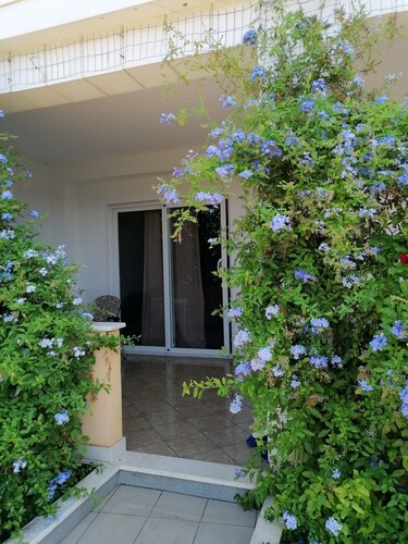 Apartments Dijana - Superior Studio Apartment with Terrace