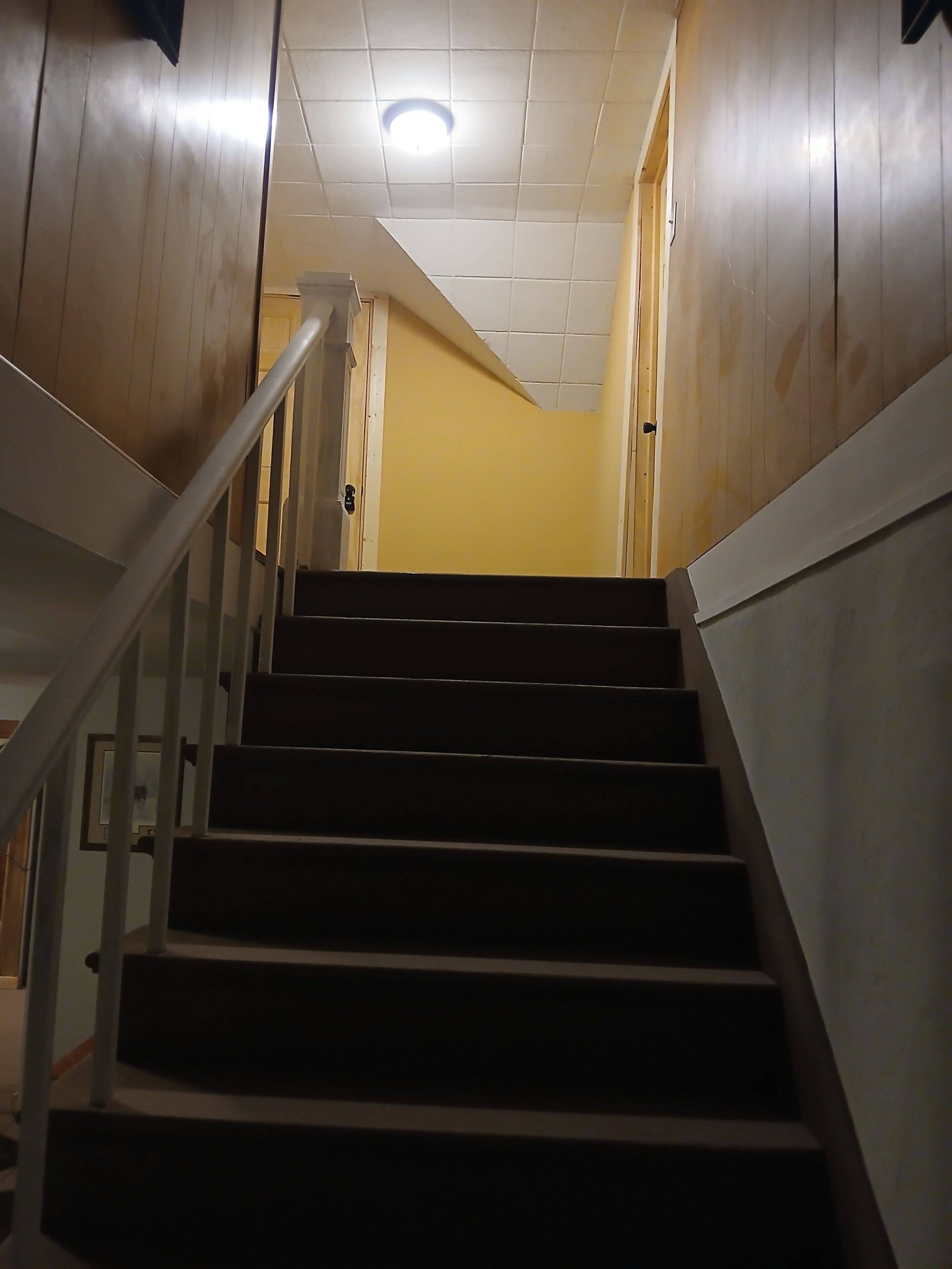 Un escalier avec une rampe, des murs en bois et un luminaire au plafond.