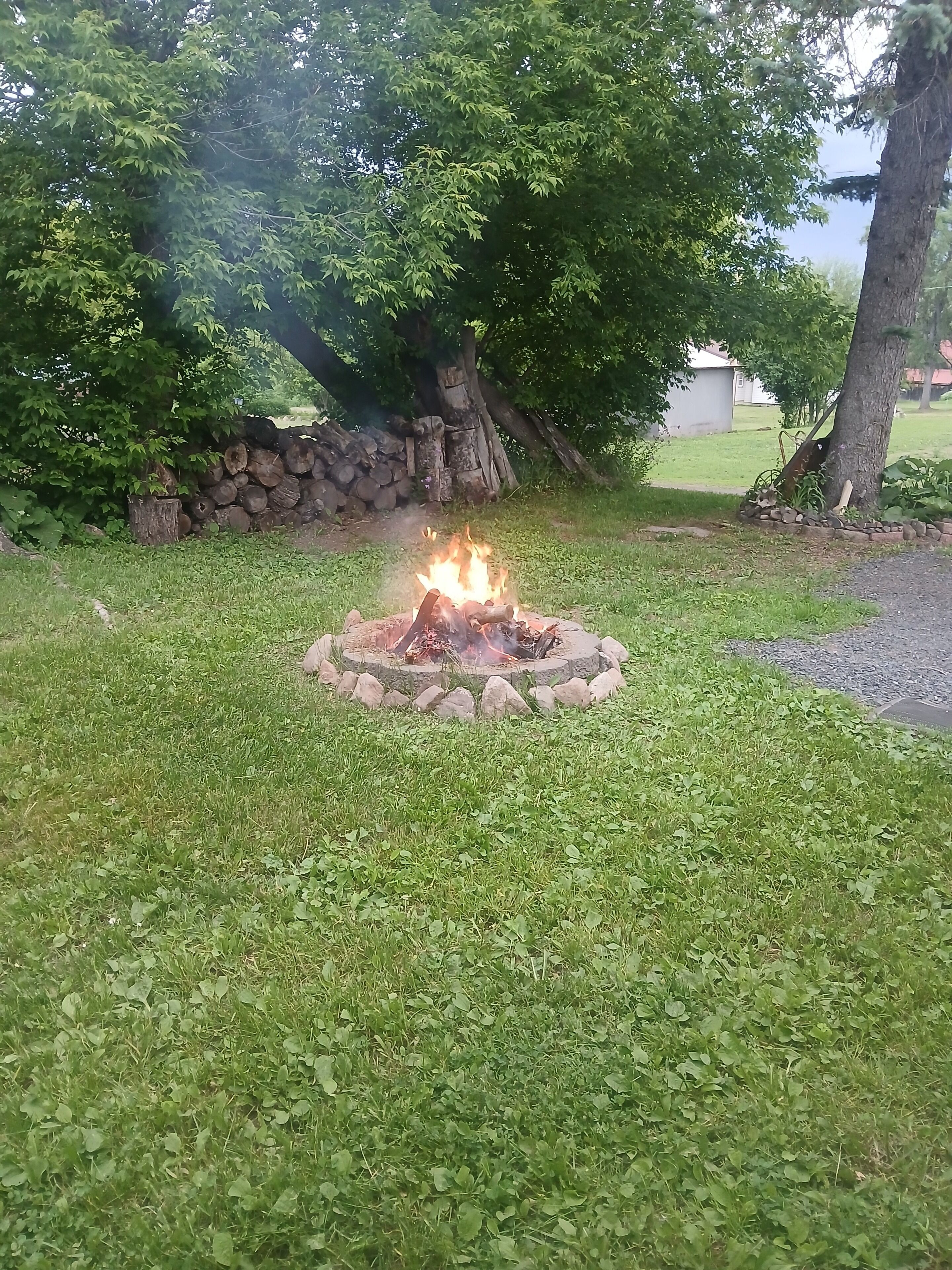 A fire pit surrounded by grass and trees.