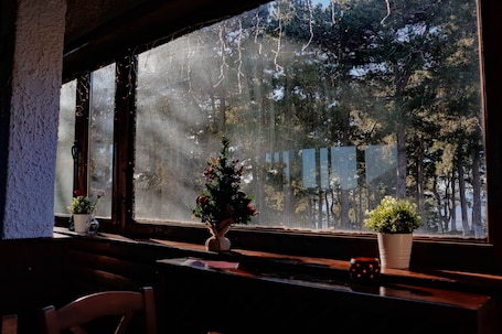 View from property. Hotel Mitikas