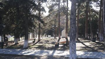 BBQ/picnic Area