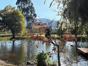 Un lago tranquillo con anatre, circondato da alberi e una montagna in lontananza.