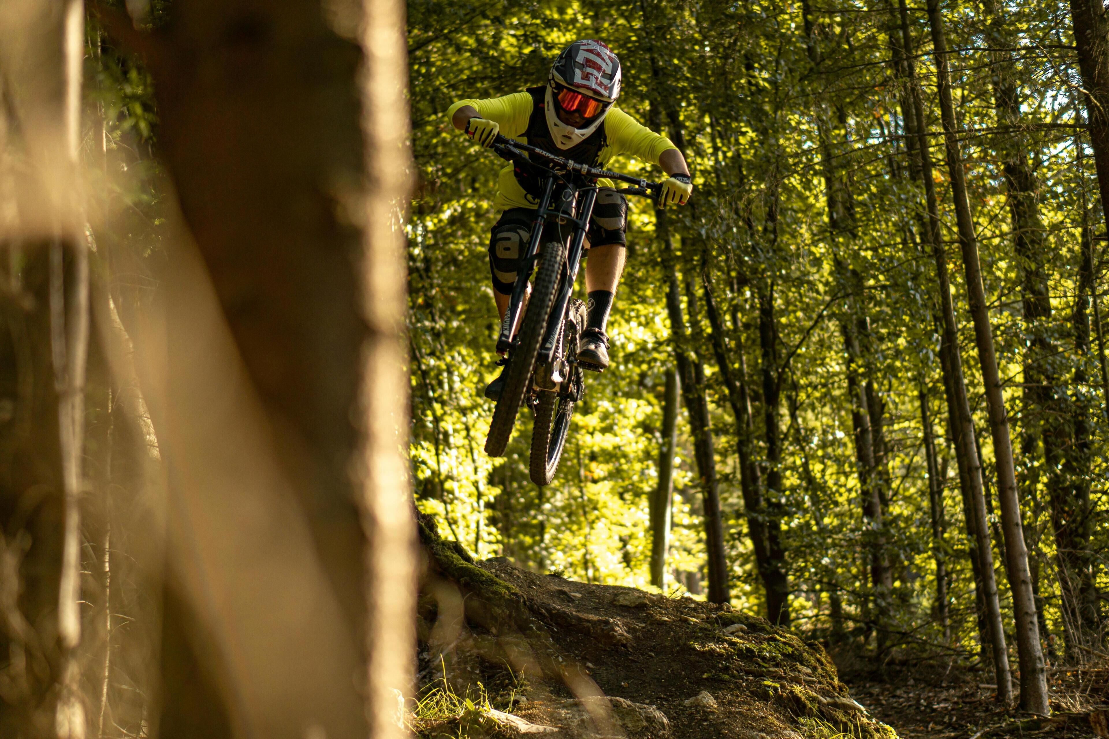 A mountain biker in a forest.