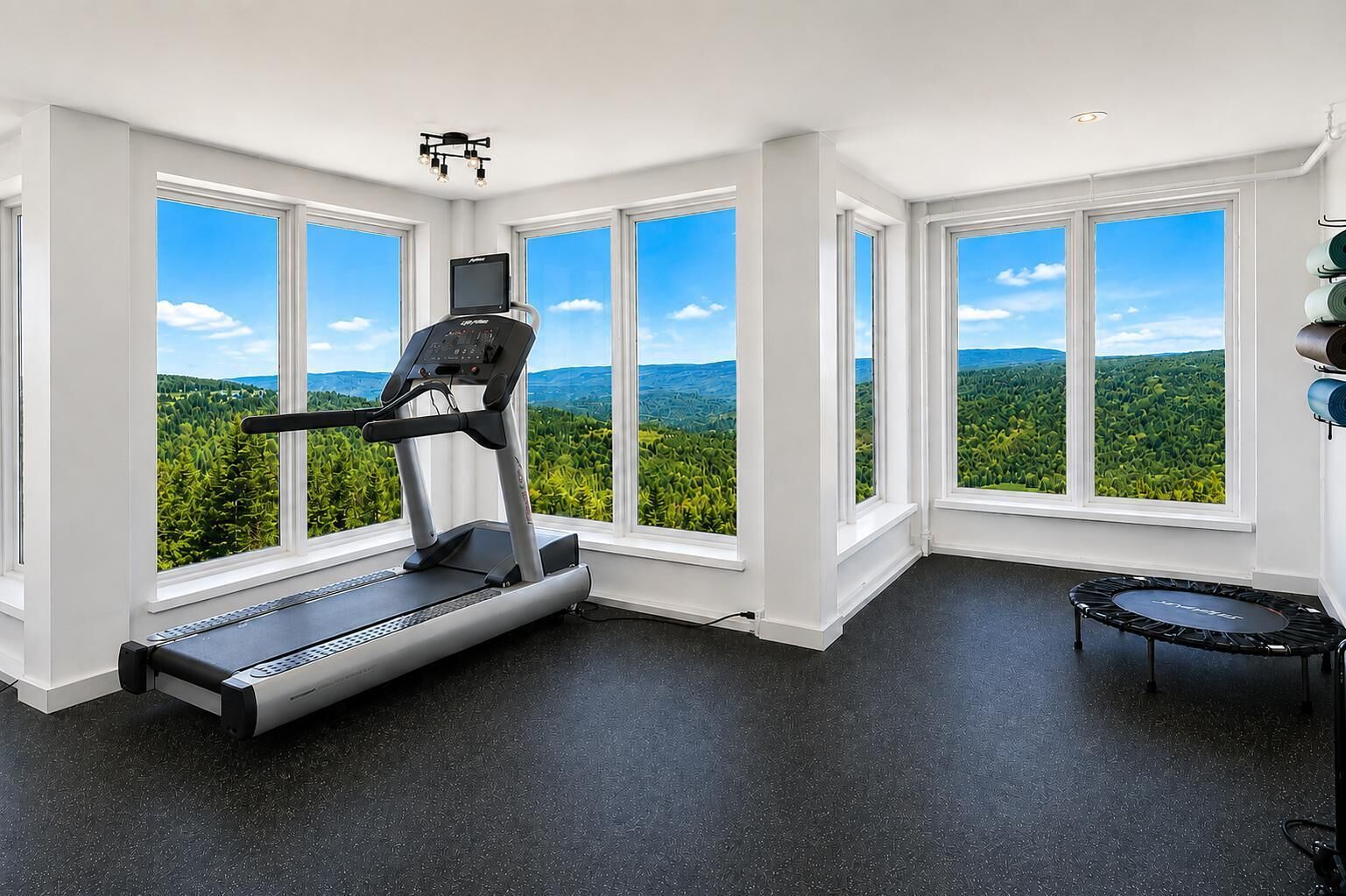 Une salle de sport à domicile équipée d’un tapis de course, d’un trampoline et de grandes fenêtres donnant sur un paysage boisé.