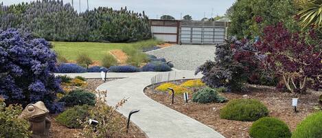A landscaped garden with a winding concrete path, various shrubs, and a fenced area in the background.