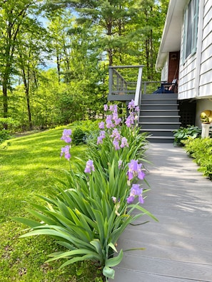 A wooden pathway leading to a house with a staircase and a garden with purple flowers. - Comfortable Country Charm with Otsego Lake Access (Cooperstown)