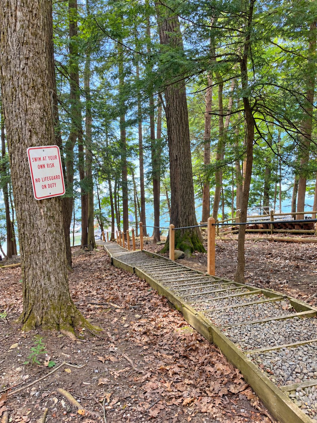Une promenade en bois menant à un plan d’eau, bordée d’arbres, avec un panneau indiquant qu’il n’y a pas de sauveteur en service.