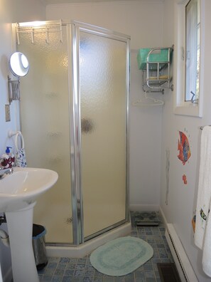 A bathroom with a glass shower enclosure, a sink, a mirror, a towel rack, and a small window. - Changing Seasons Game room, large yard, 3 bedroom/2 bath ranch, country setting (Hartwick)