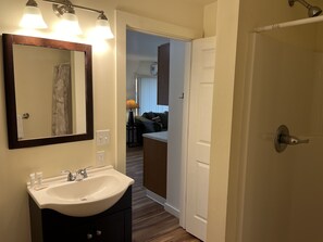 Chuveiro, secador de cabelo, toalhas de banho 