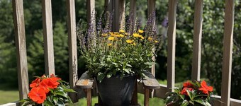 Cottage House Convenient to all tournaments, great getaway, Foosball