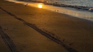 Une plage avec une jetée qui s’avance dans l’eau, des vagues qui viennent doucement lécher le rivage, et le soleil qui se couche à l’horizon.