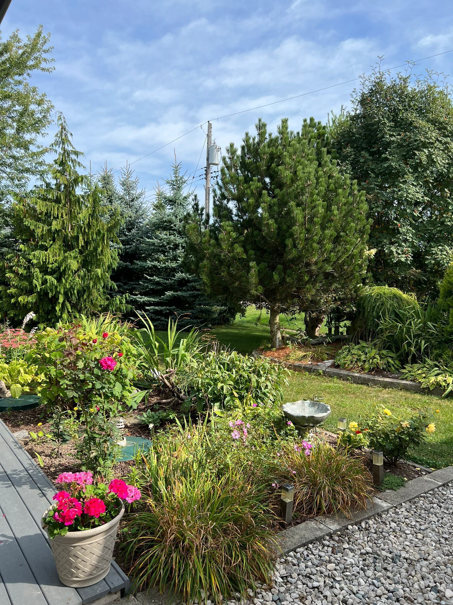 Un jardin agrémenté de diverses plantes et fleurs, une terrasse en bois et un chemin pavé de pierres.