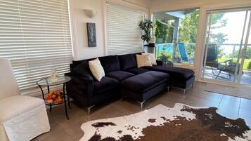 Smart TV, chimenea, libros y biblioteca musical