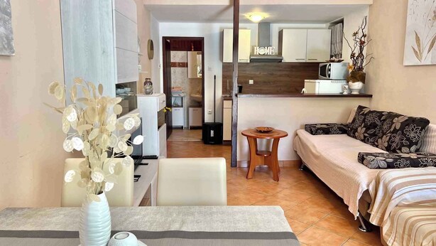 TV - Holiday apartment with terrace and air conditioning (Dramalj)