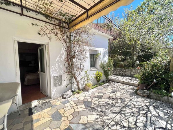 テラス / パティオ