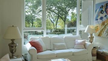 Smart TV, fireplace, books, stereo