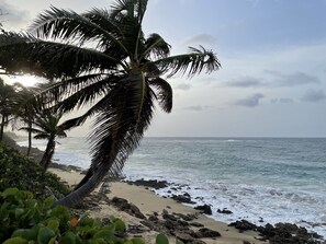 A beach with palm trees, rocky shoreline, and ocean waves.