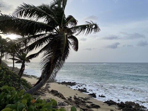 Beautiful Studio in front of the Beach with Pool!