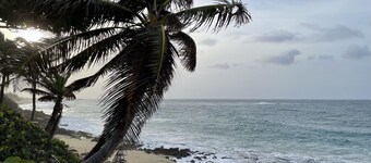 Beautiful Studio in front of the Beach with Pool!