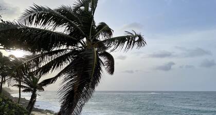 Beautiful Studio in front of the Beach with Pool!