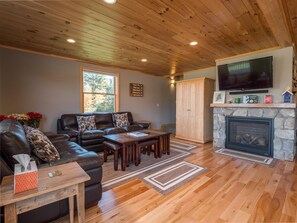 Smart TV, fireplace, books