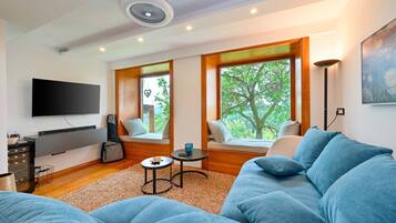 TV, fireplace, stereo