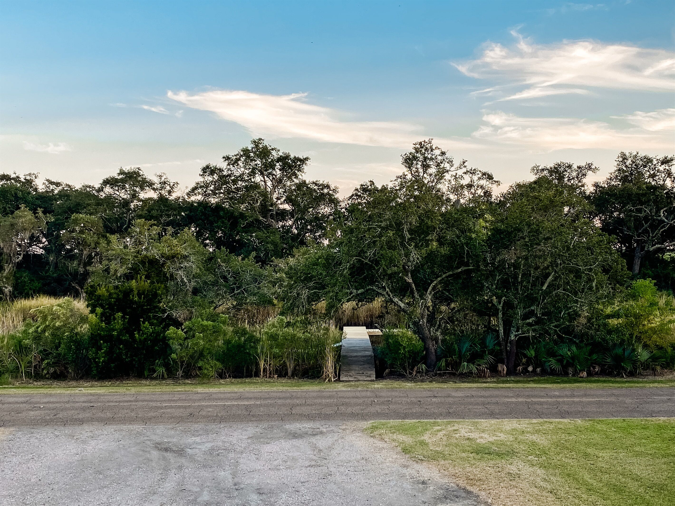 A paved road leading through a natural area with dense trees and vegetation on both sides.