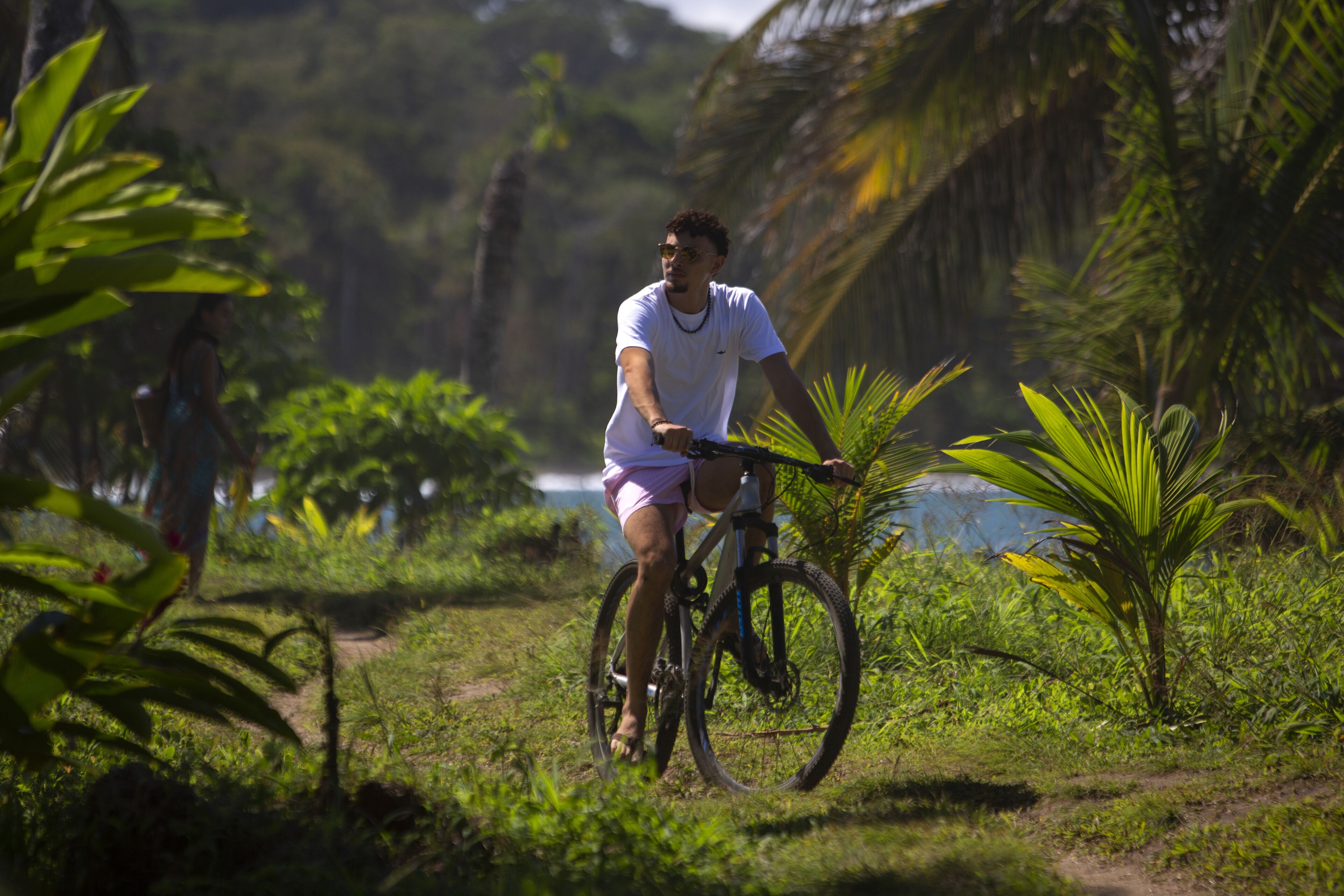A person riding a bicycle on a path surrounded by greenery.