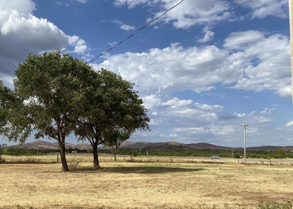A rural landscape with a large tree, dry grass, and distant hills under a partly cloudy sky.