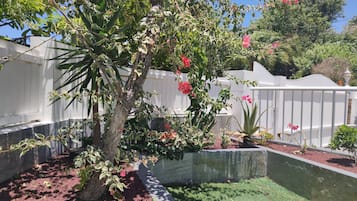 Terrain de l’hébergement