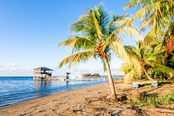 Ubicación a pie de playa, tumbonas y toallas de playa