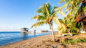 On the beach, sun loungers, beach towels - Charming Beachfront Cottage w/ Private Pool in Beautiful Sandy Bay, A/C and WiFi (Sandy Bay)