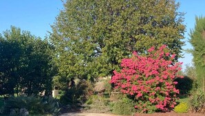 A clear swimming pool with a reflection of surrounding trees and a pink flowering bush. - Cocooning air-conditioned gîte in a privileged, peaceful setting with large swimming pool (Bougé-Chambalud)