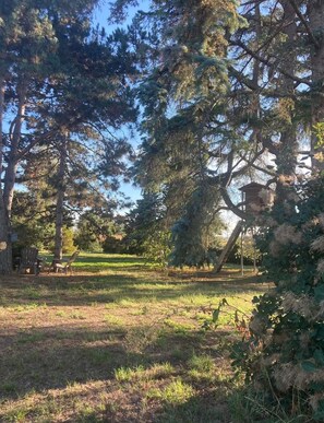 Property grounds - Cosy gîte in a privileged, peaceful setting with swimming pool (Bougé-Chambalud)