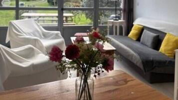 TV connectée, lecteur de DVD, livres