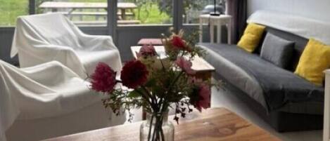 Smart-TV, DVD-spiller og bøker